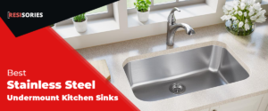 Best Stainless Steel Undermount Kitchen Sinks reviews